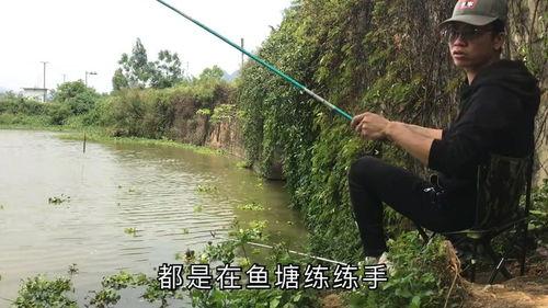 钓鱼爆料视频最新消息新闻,揭秘神秘水域奇遇记 第2张 钓鱼爆料视频最新消息新闻,揭秘神秘水域奇遇记 第2张