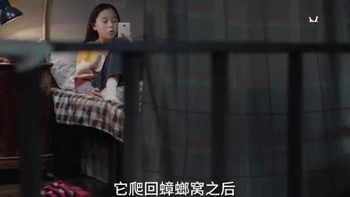 娃娃影视爆料视频,揭秘热门影视幕后故事 第1张 娃娃影视爆料视频,揭秘热门影视幕后故事 第1张