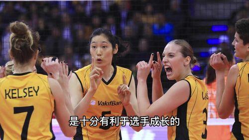 外媒爆料李盈莹视频播放 第1张 外媒爆料李盈莹视频播放 第1张